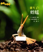 生命的故事  诞生了！蚱蜢 封面