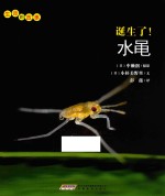 生命的故事  诞生了！水黾 封面
