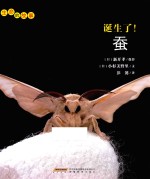 生命的故事  诞生了！蚕 封面