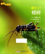 生命的故事  诞生了！蟋蟀 封面