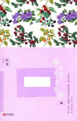唯愿此生不负你  上 封面