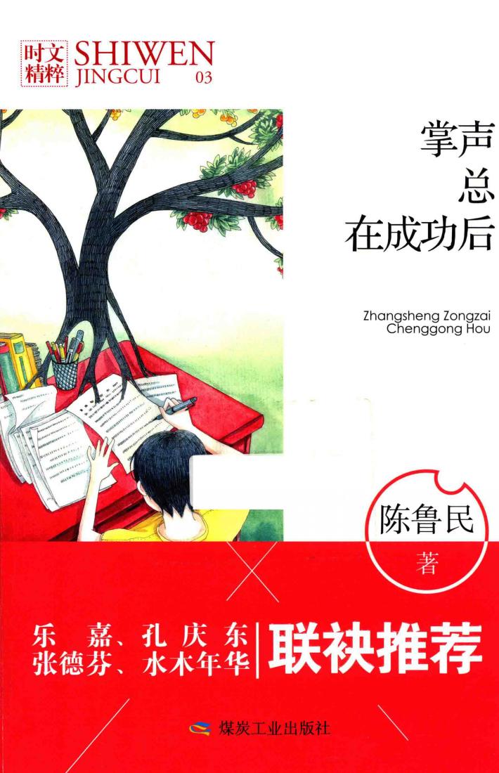 掌声总在成功后 封面