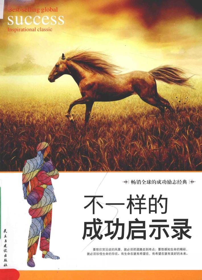 不一样的成功启示录 封面