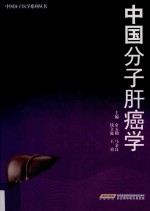 中国分子肝癌学 封面