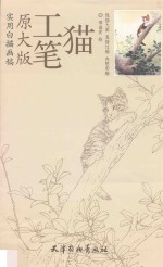工笔猫 封面