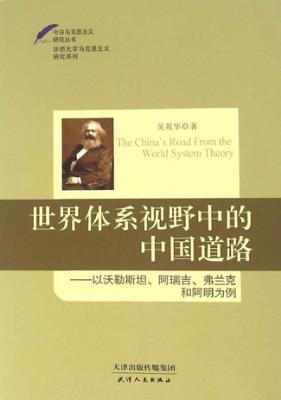 世界体系视野中的中国道路 以沃勒斯坦 阿瑞吉 弗兰克和阿明为例 封面