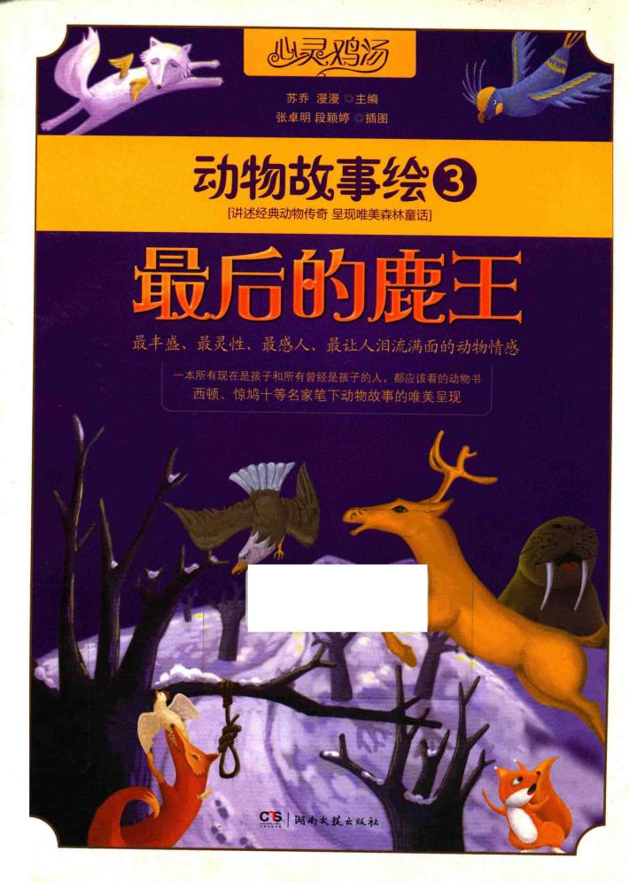 最后的鹿王 封面