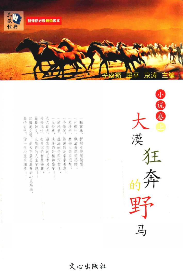 大漠狂奔的野马  小说卷  上 封面