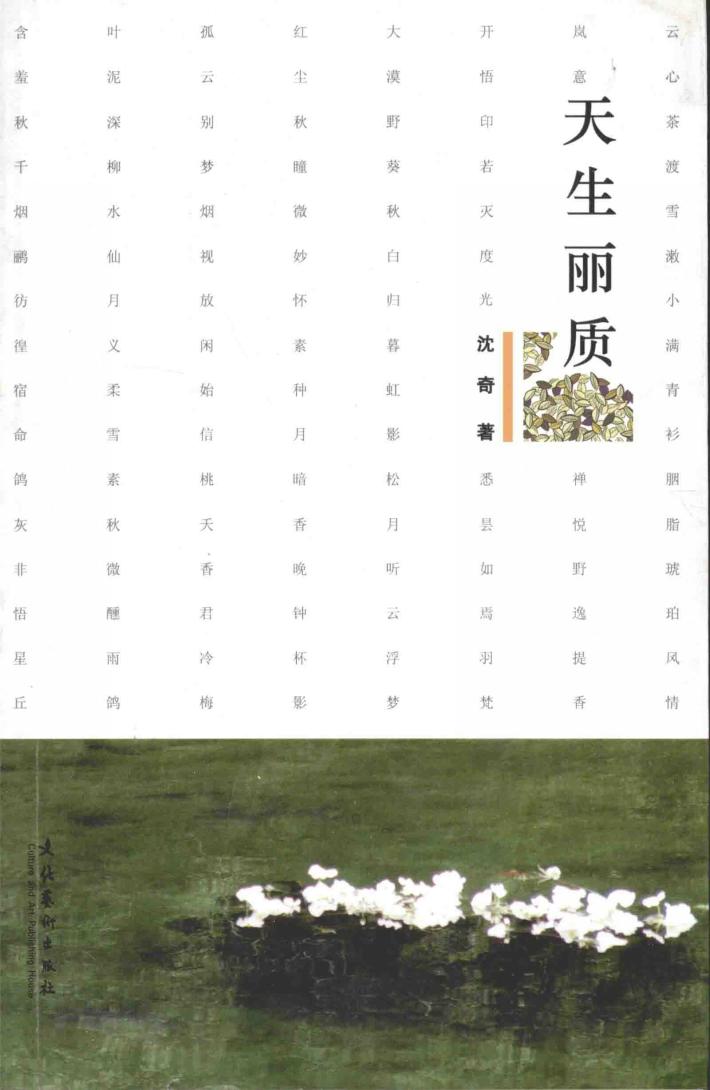 天生丽质 封面