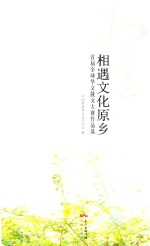 相遇文化原乡  首届全球华文散文大赛作品选 封面