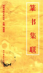 对联书写艺术  篆书集联 封面