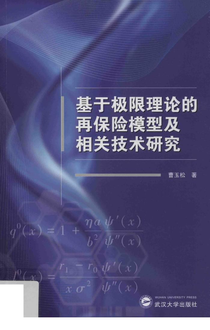 基于极限理论的再保险模型及相关技术研究 封面