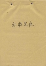 红粉思仇 封面