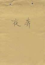 夜奔 封面