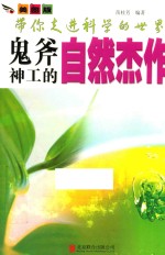 带你走进科学的世界  鬼斧神工的自然杰作 封面