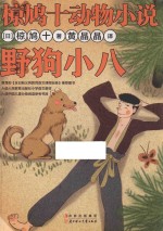 椋鸠十动物小说  野狗小八 封面