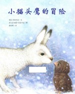 小猫头鹰的冒险 封面