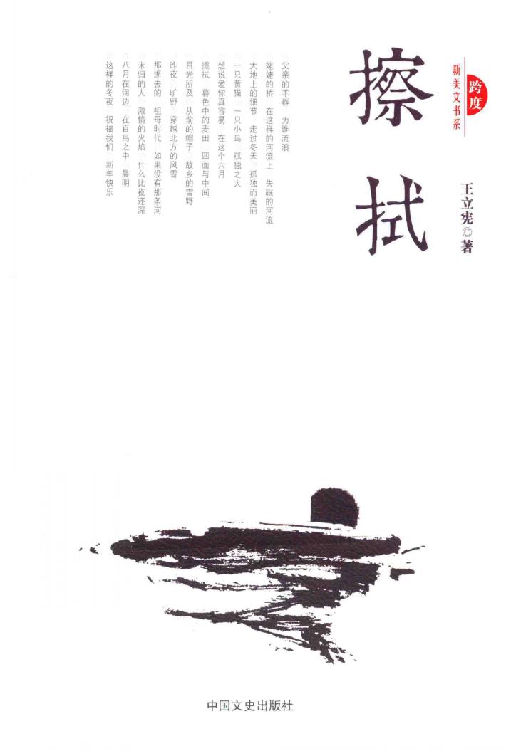 跨度新美文书系  擦拭 封面