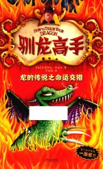 驯龙高手  5  龙的传说之命运交错 封面
