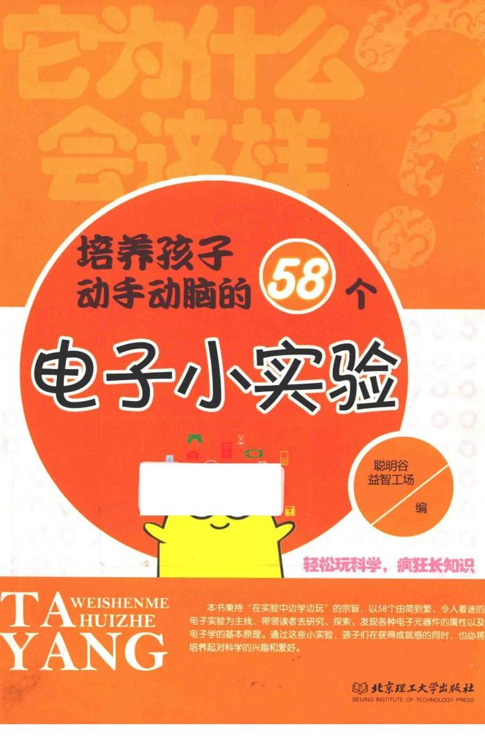 培养孩子动手动脑的58个电子小实验 封面
