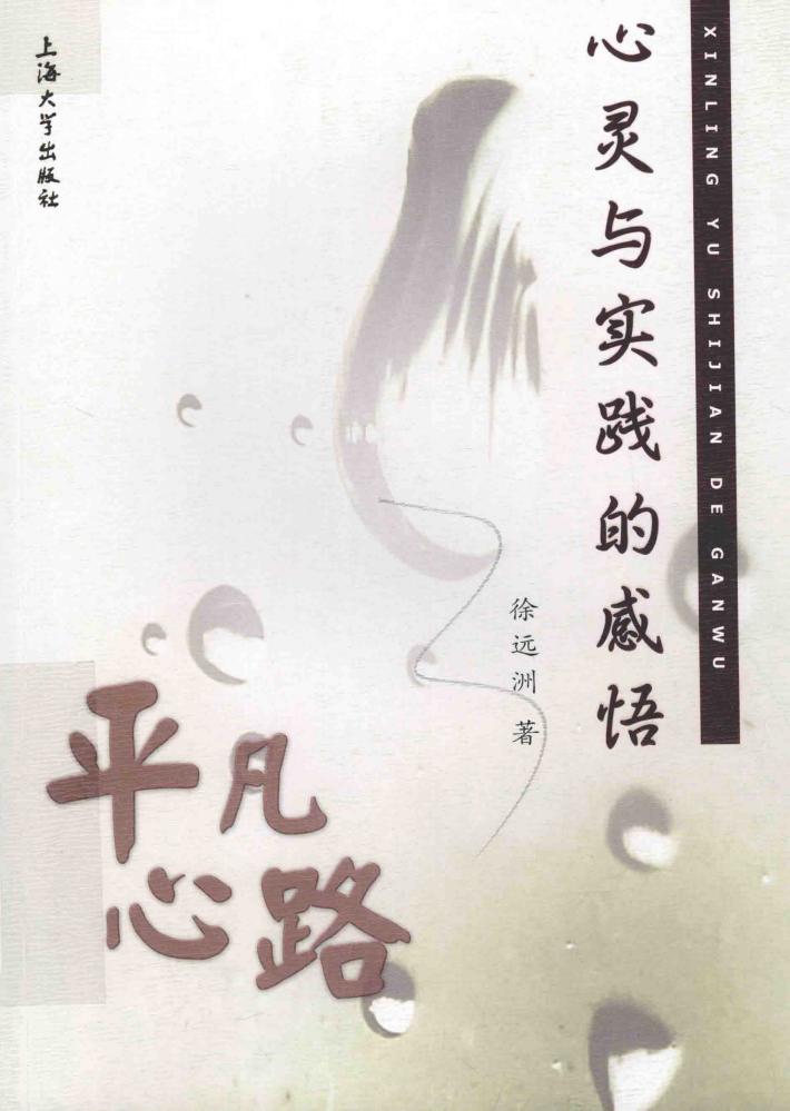 心灵与实践的感悟  平凡心路 封面