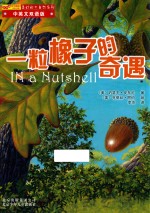 美妙的大自然  一粒橡子的奇遇 封面