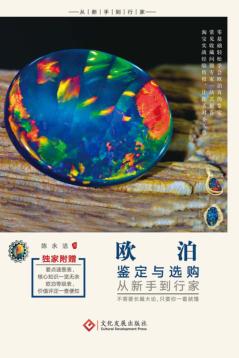 欧泊鉴定与选购从新手到行家 封面