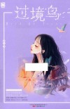 过境鸟 封面