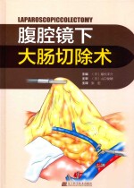 腹腔镜下大肠切除术 封面