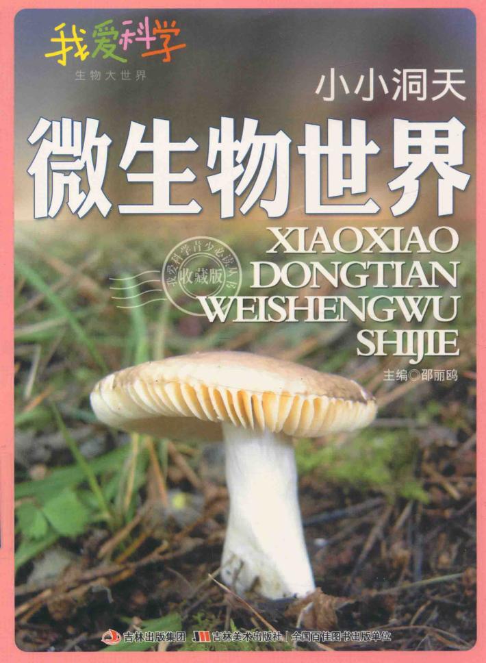 小小洞天  微生物世界  四色 封面