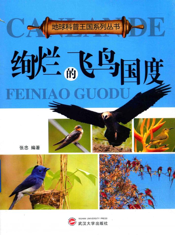 绚烂的飞鸟国度 封面