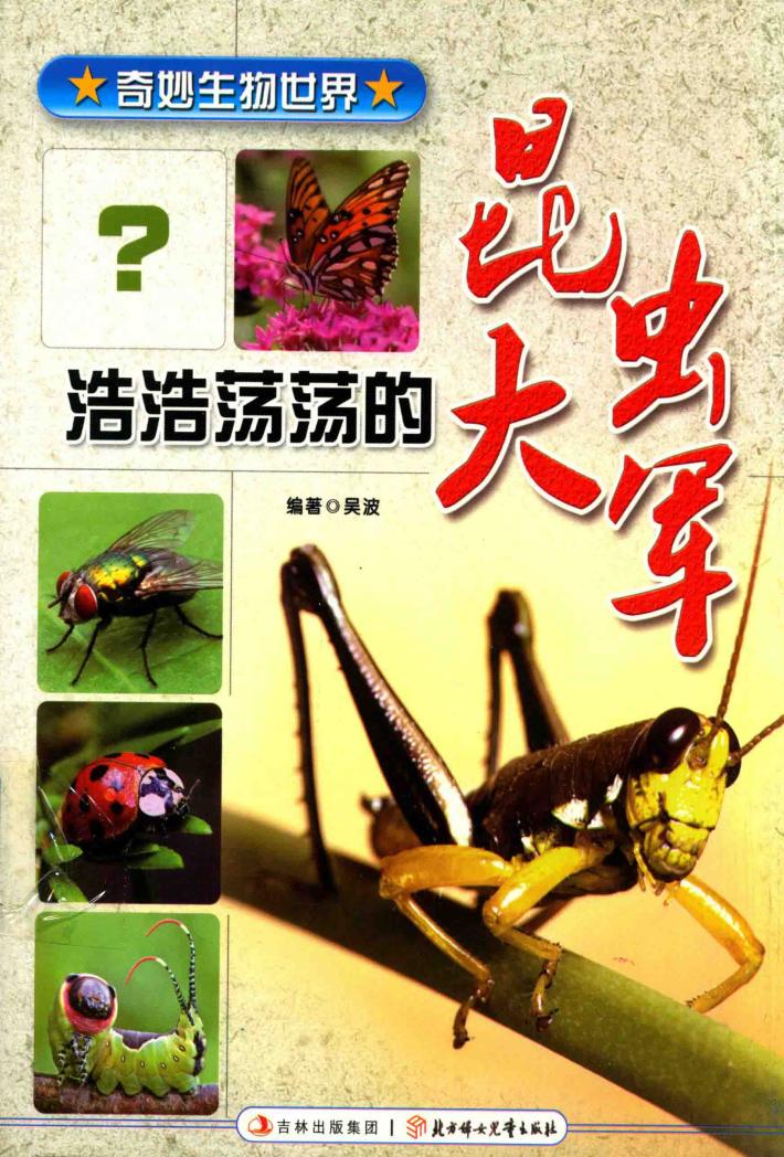 奇妙生物世界系列 昆虫大军 封面