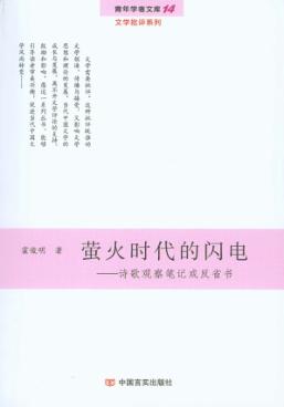诗歌观察笔记或反省书  萤火时代的闪电 封面