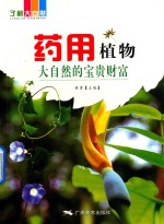 药用植物  大自然的宝贵财富  全彩版 封面
