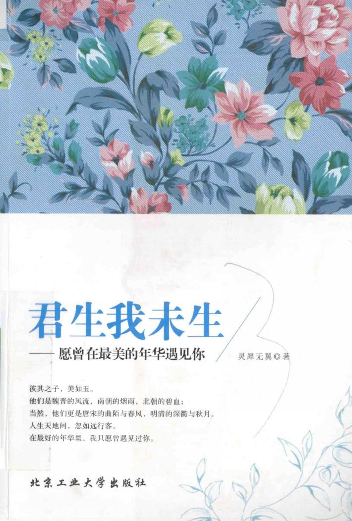 君生我未生  愿曾在最美的年华遇见你 封面