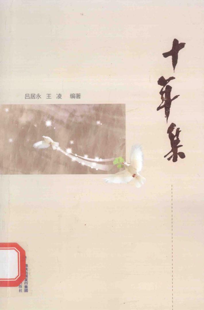 十年集  2004年7月-2014年4月 封面
