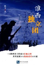 淮西独立团 封面