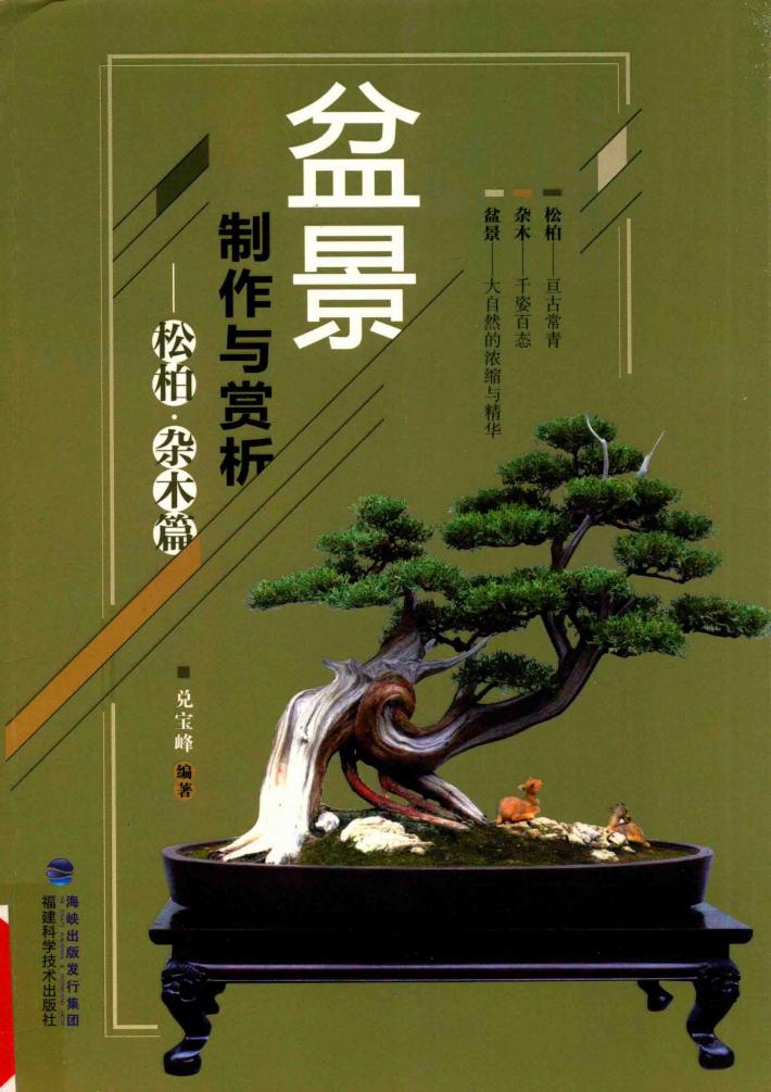 盆景制作与赏析松柏  杂木篇 封面