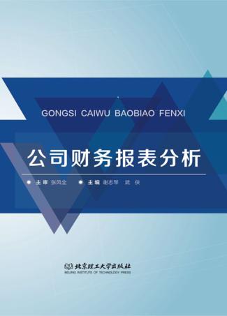 公司财务报表分析 封面