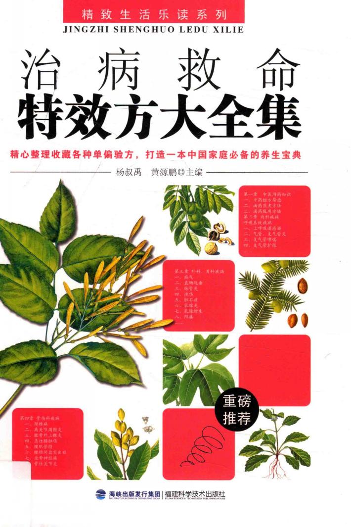 治病救命特效方大全集 封面
