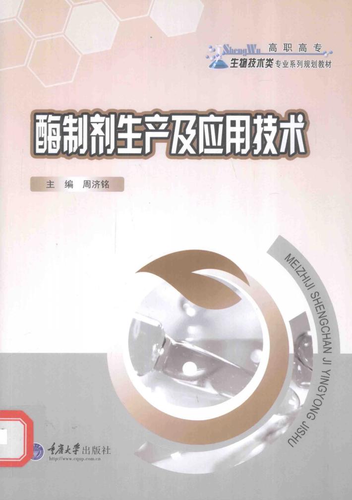 酶制剂生产及应用技术 封面
