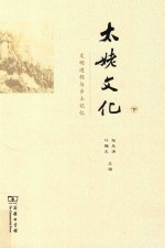 太姥文化  文明进程与乡土记忆  下 封面