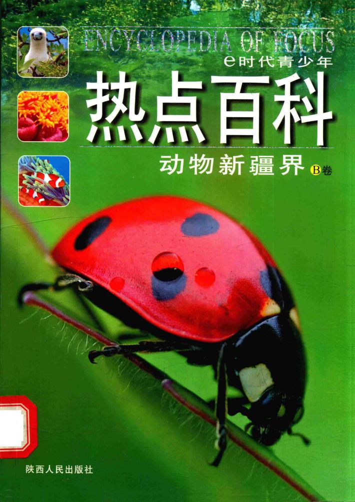 动物新疆界  B卷 封面