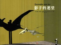 影子的愿望 封面