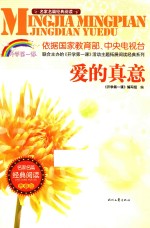 爱的真意 封面