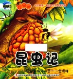昆虫记  昆虫中的泥水匠  舍腰蜂 封面