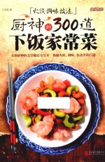 火候  调味  技法  厨神的300道下饭家常菜 封面