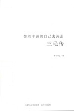 三毛传  带着丰满的自己去流浪 封面