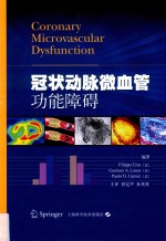 冠状动脉微血管功能障碍 电子书封面