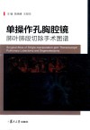 单操作孔胸腔镜肺叶肺段切除手术图谱 封面